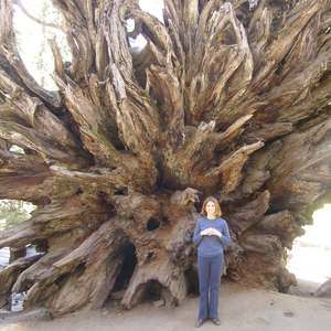 Meet your Posher, Shanda